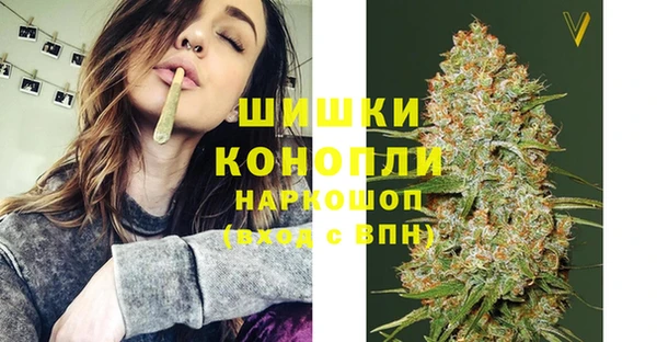 бошки Алзамай