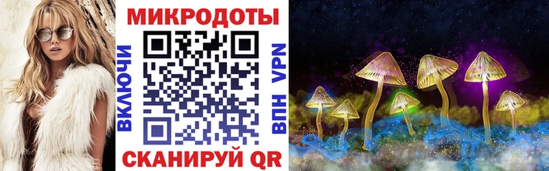 Галлюциногенные грибы Psilocybine cubensis  Невинномысск 